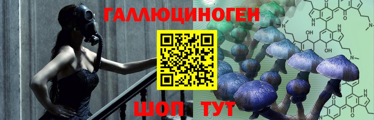 Галлюциногенные грибы GOLDEN TEACHER Торжок