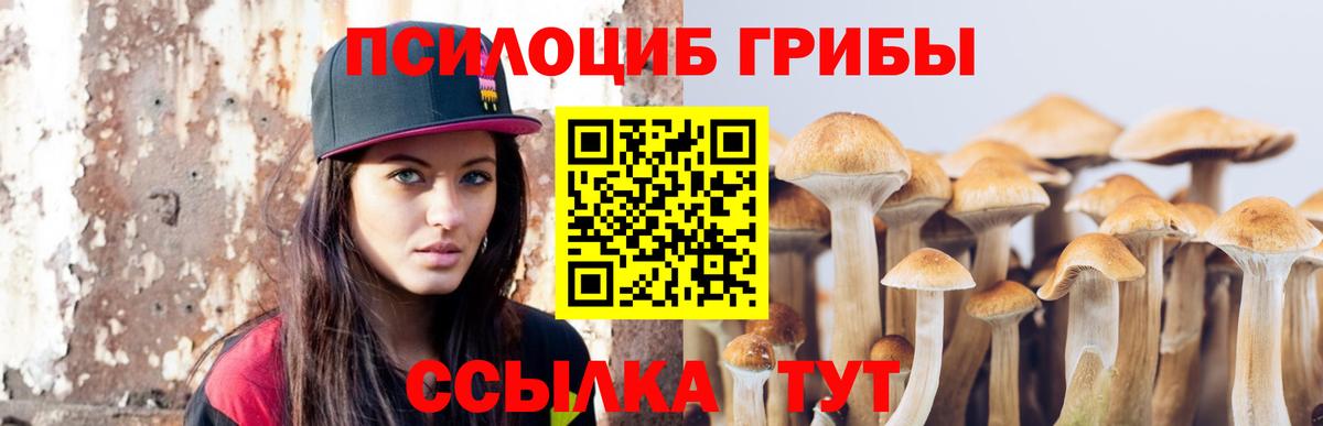 Торжок  Галлюциногенные грибы прущие грибы  цена   Вход с VPN  Псилоцибиновые грибы мицелий 